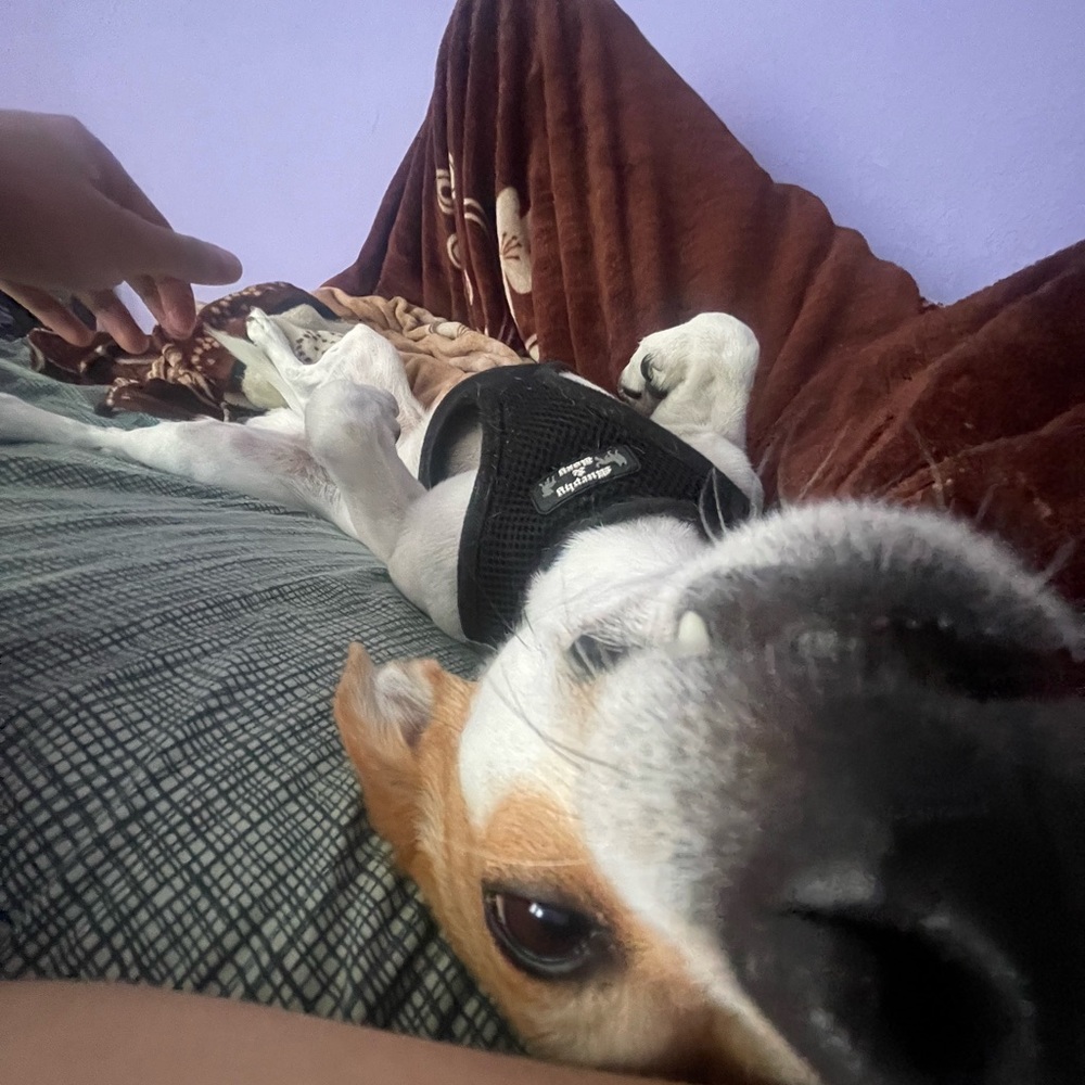 Meet your Posher, Apug